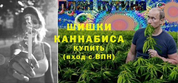 круглые Пересвет