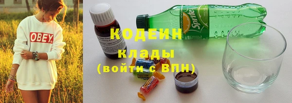 круглые Пересвет