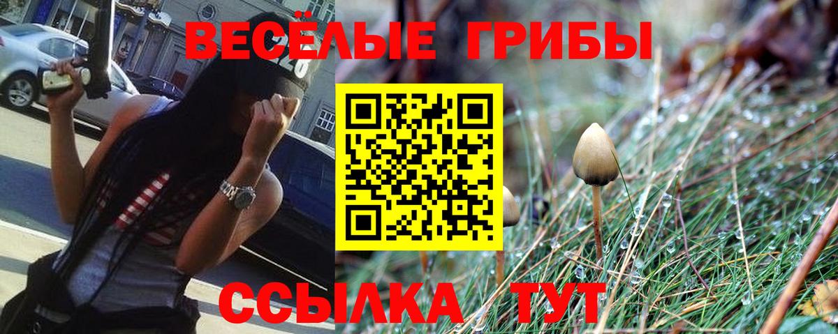 Галлюциногенные грибы ЛСД  Великий Новгород  Псилоцибиновые грибы MAGIC MUSHROOMS 