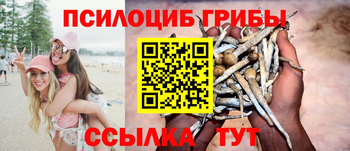 Галлюциногенные грибы Psilocybine cubensis  Вход с VPN  Великий Новгород 